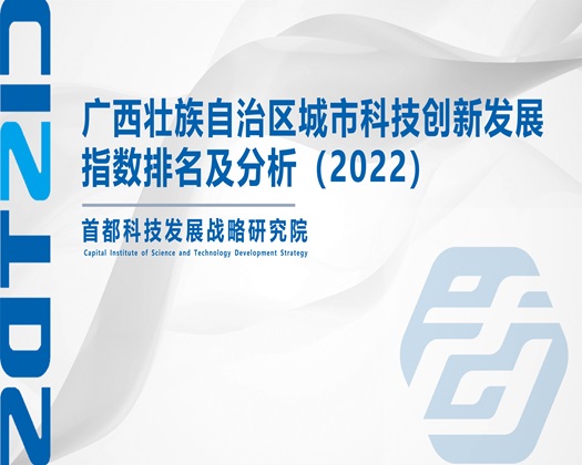 啊啊啊不要操了太硬了的视频【成果发布】广西壮族自治区城市科技创新发展指数排名及分析（2022）